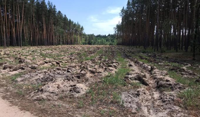 Новоайдарське лісомисливське господарство інформує Новоайдарське лісомисливське господарство інформує