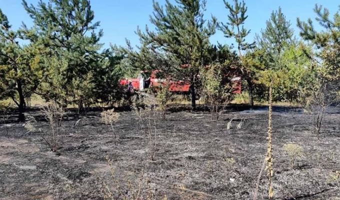 5 серпня з камери відеоспостереження за лісовими масивами було виявлено загоряння на землях Смолянинівської сільської ради Новоайдарського району 5 серпня з камери відеоспостереження за лісовими масивами було виявлено загоряння на землях Смолянинівської сільської ради Новоайдарського району
