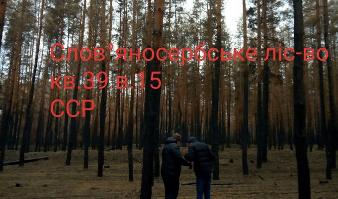 Продовжується проведення лісопатологічного обстеження лісових насаджень ДП “Новоайдарське ЛМГ” на Луганщині, які постраждали від величезної пожежі в жовтні 2020 року Продовжується проведення лісопатологічного обстеження лісових насаджень ДП “Новоайдарське ЛМГ” на Луганщині, які постраждали від величезної пожежі в жовтні 2020 року