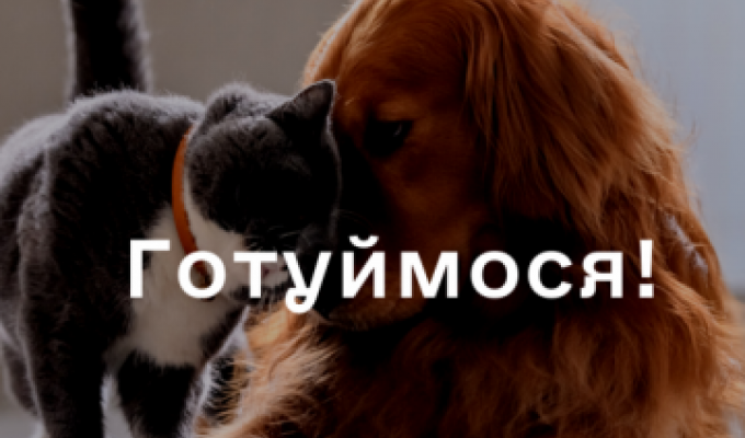 ЗимаБлизько: Сподіваємось на краще, готуємось до будь-якого розвитку подій ЗимаБлизько: Сподіваємось на краще, готуємось до будь-якого розвитку подій