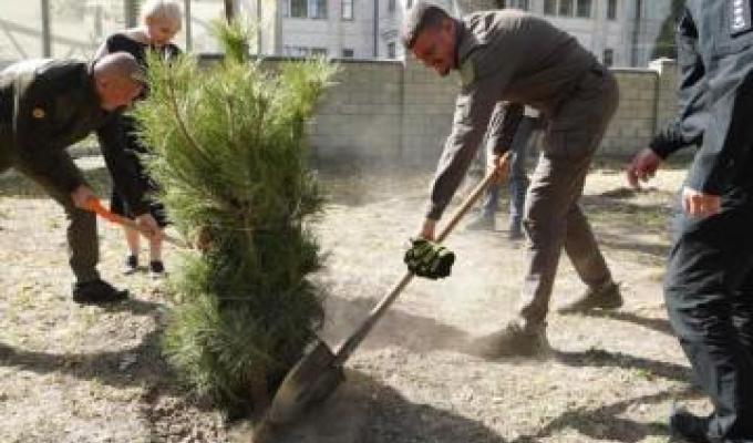 «Алея Захисників Луганщини» у Дніпрі поповнилась новими деревами «Алея Захисників Луганщини» у Дніпрі поповнилась новими деревами