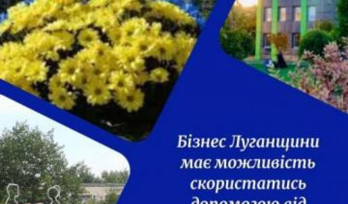 Програмами компенсаційних виплат за працевлаштованих можуть скористатися роботодавці Луганщини Програмами компенсаційних виплат за працевлаштованих можуть скористатися роботодавці Луганщини