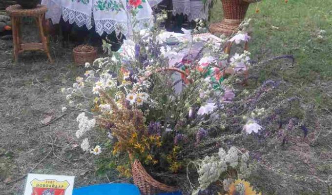 Новоайдарський район прийняв участь у Фестивалі української народної іграшки та гри Новоайдарський район прийняв участь у Фестивалі української народної іграшки та гри