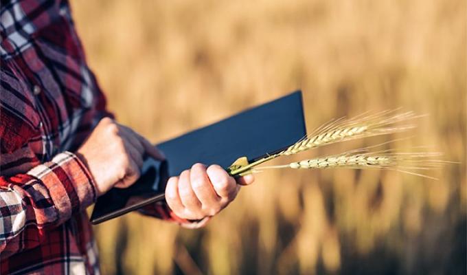Стартує набір ОТГ для участі в Державному аграрному реєстрі