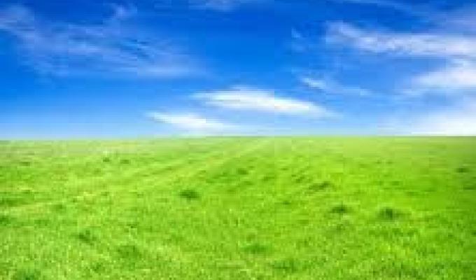 ВІДПОВІДАЛЬНІСТЬ ЗА САМОВІЛЬНЕ ЗАЙНЯТТЯ ЗЕМЕЛЬНОЇ ДІЛЯНКИ