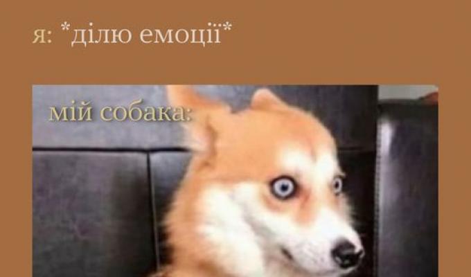 Я ділю емоції... Я ділю емоції...
