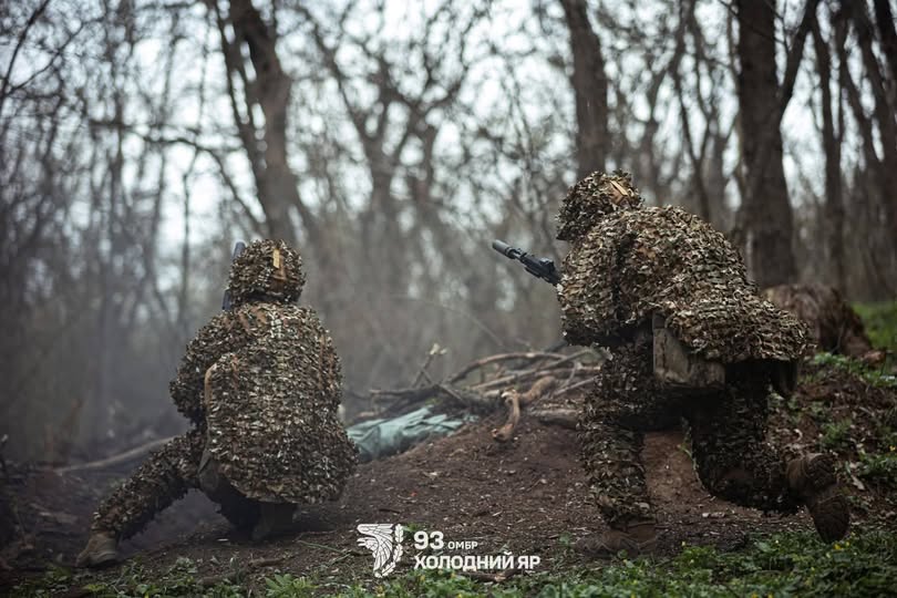 Двоє бійців 93-ї бригади «Холодний Яр» у густому маскувальному одязі типу «гіллі», що повністю приховує силуети, тримають зброю напоготові серед тонких стовбурів дерев у лісі