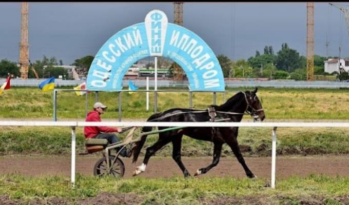 Відділ освіти культури молоді та спорту Широківської сільської військової адміністрації та Координаційний центр допомоги ВПО в м. Одеса запрошують бажаючих відвідати ОДЕСЬКИЙ ІПОДРОМ! Відділ освіти культури молоді та спорту Широківської сільської військової адміністрації та Координаційний центр допомоги ВПО в м. Одеса запрошують бажаючих відвідати ОДЕСЬКИЙ ІПОДРОМ!