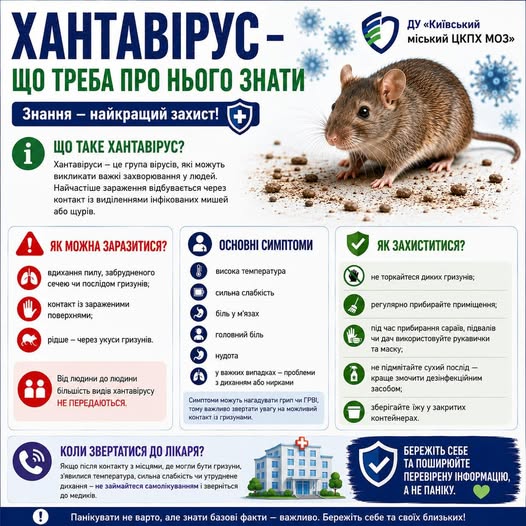 Інформаційний плакат ДУ «Київський міський ЦКПХ МОЗ» під великим синьо-зеленим заголовком «ХАНТАВІРУС – ЩО ТРЕБА ПРО НЬОГО ЗНАТИ» містить у верхній частині реалістичне зображення дикої миші на землі серед синіх графічних моделей вірусів, а нижня частина структурована на кольорові блоки з іконками, що детально описують шляхи зараження, основні симптоми, правила захисту та рекомендації щодо звернення до лікаря
