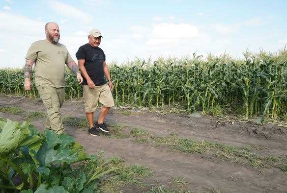 Двоє чоловіків у літньому повсякденному одязі йдуть ґрунтовою дорогою вздовж високого зеленого поля кукурудзи під світлим небом із легкими хмарами.