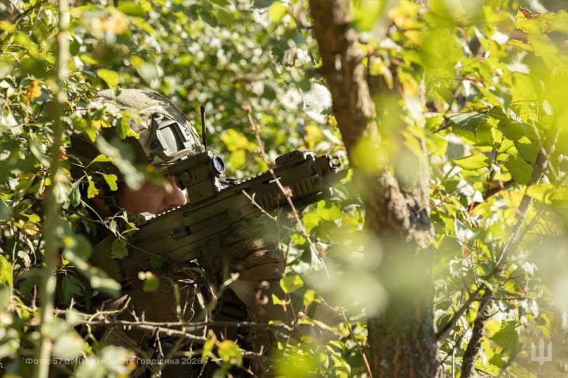 На зображенні показано українського військовослужбовця у камуфляжному шоломі, який замаскувався в густих зелених заростях лісу та цілиться з автоматичної гвинтівки з коліматорним прицілом