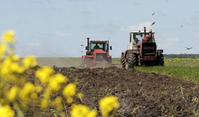 Аграрії отримають компенсації за втрату посівів через посуху Аграрії отримають компенсації за втрату посівів через посуху