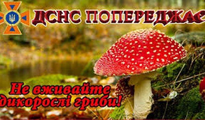 Рятувальники попереджають: обережно - отруєння грибами! Рятувальники попереджають: обережно - отруєння грибами!