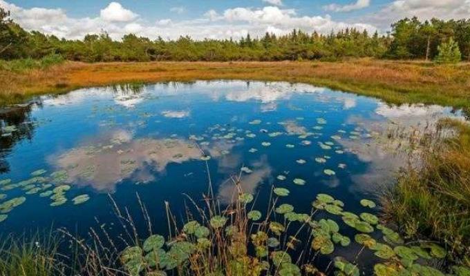 2 лютого у світі відзначається День водно-болотних угідь 2 лютого у світі відзначається День водно-болотних угідь