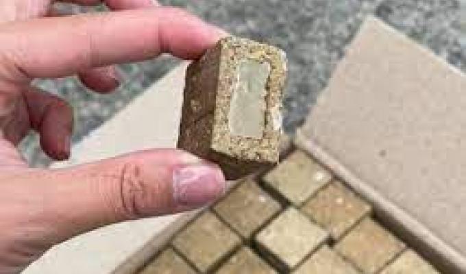 Пероральна вакцинація диких м’ясоїдних