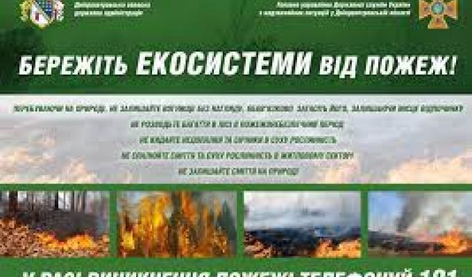 Пожежі в природних екосистемах
