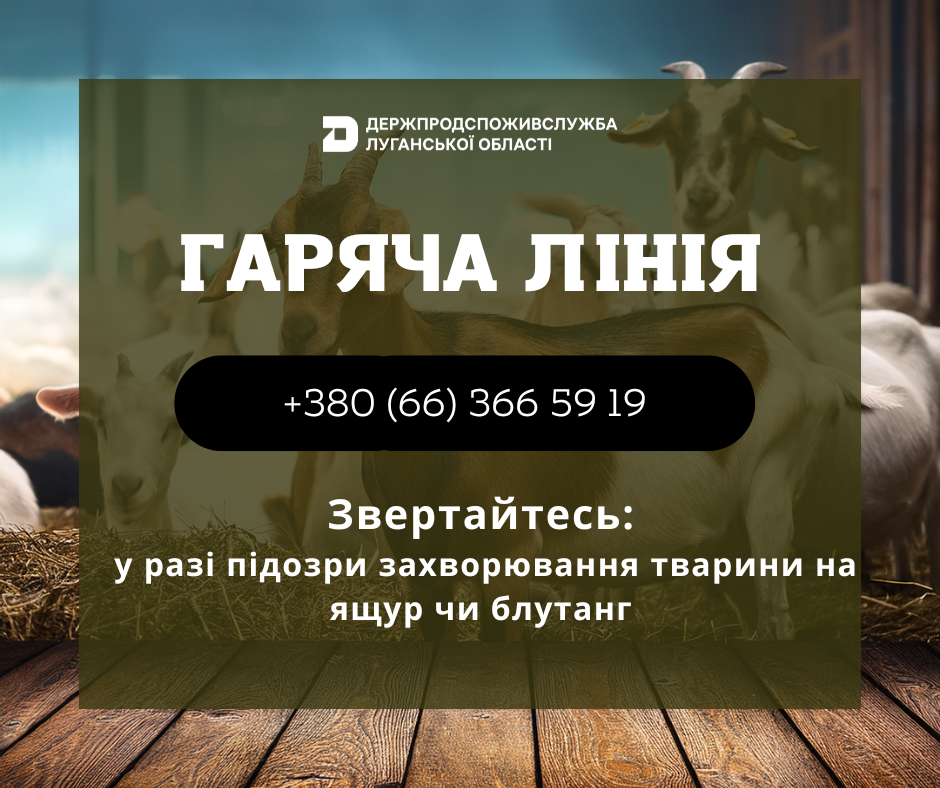 Є підозра, що тварина захворіла на ящур чи блутанг, – негайно повідомте на «гарячу лінію» Держпродспоживслужби Луганської області Є підозра, що тварина захворіла на ящур чи блутанг, – негайно повідомте на «гарячу лінію» Держпродспоживслужби Луганської області