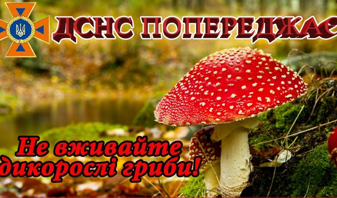 ОБЕРЕЖНО ГРИБИ!