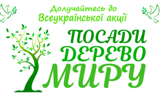 Стартувала всеукраїнська щорічна акція «Посади дерево миру» Стартувала всеукраїнська щорічна акція «Посади дерево миру»