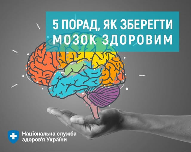 5 порад як зберегти мозок здоровим 5 порад як зберегти мозок здоровим