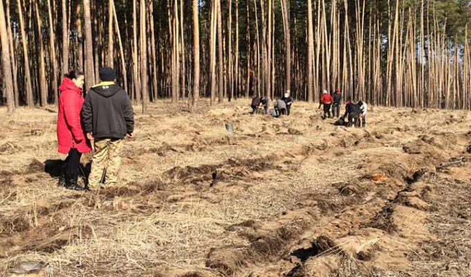 Лісівники ДП «Новоайдарське ЛМГ» продовжують весняну лісокультурну кампанію Лісівники ДП «Новоайдарське ЛМГ» продовжують весняну лісокультурну кампанію
