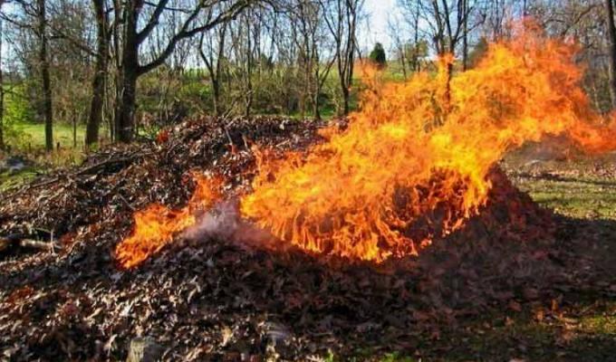 Шановні громадяни, не випалюйте суху траву! Не руйнуйте екосистеми!