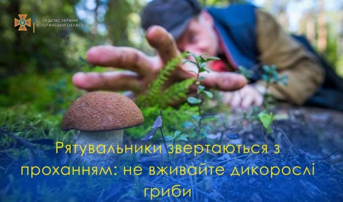 Страви з присмаком небезпеки: рятувальники Луганщини закликають громадян не вживати дикорослі гриби Страви з присмаком небезпеки: рятувальники Луганщини закликають громадян не вживати дикорослі гриби