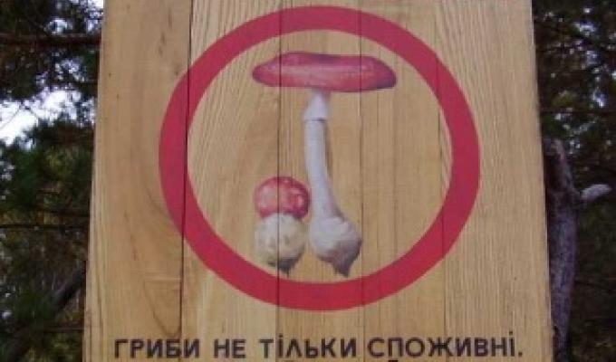 Увага, гриби! Отруєння грибами небезпечне для життя Увага, гриби! Отруєння грибами небезпечне для життя