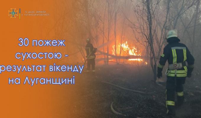 30 пожеж сухостою та чагарників лише за два дні! 30 пожеж сухостою та чагарників лише за два дні!