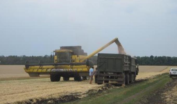 В Новоайдарському районі почалося збирання врожаю В Новоайдарському районі почалося збирання врожаю