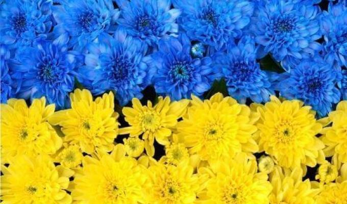 Привітання керівництва району з нагоди Міжнародного дня музеїв Привітання керівництва району з нагоди Міжнародного дня музеїв