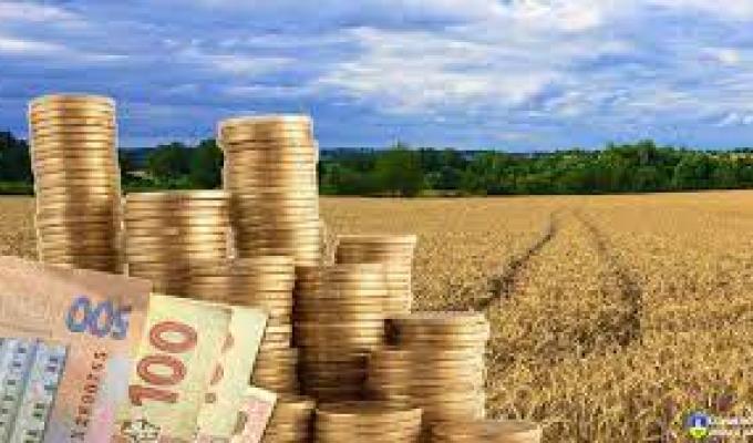 Землекористувачі та власники землі Луганщини сплатили майже 380 млн гривень Землекористувачі та власники землі Луганщини сплатили майже 380 млн гривень