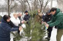 Учасники акції «Ангели пам’яті» у Кропивницькому прикрашають сосну паперовими янголами на честь загиблих захисників
