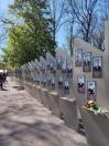  Ряд високих світло-сірих бетонних стел незвичайної форми — вони мають скошені, загострені верхівки, що нагадують осколки або стилізовані крила. Стели вишикувані в довгу лінію, яка завдяки ракурсу зйомки візуально тягнеться далеко вперед, підкреслюючи масштаб втрат