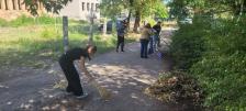 Дівчина на передньому плані замітає віником асфальтовану паркову доріжку, на якій лежить купа сухого листя, поки на задньому плані інші люди згрібають сміття граблями.