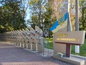 На світлині зображено Алею Слави під відкритим небом із довгим рядом пам'ятних стел із портретами полеглих бійців, на початку якої встановлено великий меморіал із написом «Герої не вмирають!», прикрашений гербом, прапором України та силуетами птахів, що злітають у небо.