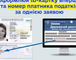 Парламент надав податковому номеру на ID-картці таку ж юридичну силу, як має довідка
