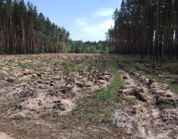 Новоайдарське лісомисливське господарство інформує