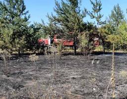 5 серпня з камери відеоспостереження за лісовими масивами було виявлено загоряння на землях Смолянинівської сільської ради Новоайдарського району