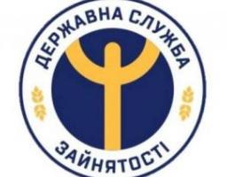 Попри війну український ринок праці зберігає позитивну динаміку