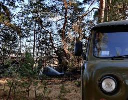 Щоб виростити здоровий і могутній ліс – потрібні десятки років кропіткої праці лісівників