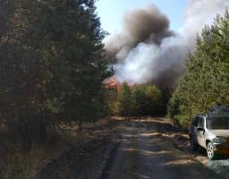 Вчора, 07.10.2020 о 12:30 виникло нове загоряння у хвойному лісі на околиці села Смолянинове Піщаного лісництва Новоайдарського лісгоспу