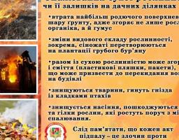 Шановні громадяни, не випалюйте суху траву! Не  руйнуйте екосистеми!