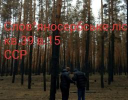 Продовжується проведення лісопатологічного обстеження лісових насаджень ДП “Новоайдарське ЛМГ” на Луганщині, які постраждали від величезної пожежі в жовтні 2020 року