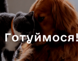 ЗимаБлизько: Сподіваємось на краще, готуємось до будь-якого розвитку подій