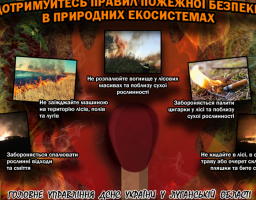 Обережно пожежі в екосистемах!
