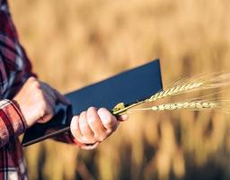 Стартує набір ОТГ для участі в Державному аграрному реєстрі