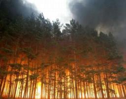 Рятувальники  закликають громадян не провокувати пожежі в екосистемах!