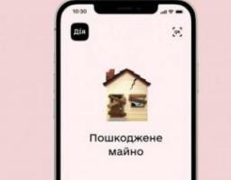 Детальна інформація щодо реєстрації пошкодженого/зруйнованого майна