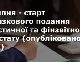 З 05 липня 2025 року в Україні  відновлено подання статистичної звітності респондентами у зв’язку з набранням чинності змін до Закону України “Про захист інтересів суб’єктів подання звітності та інших документів у період дії воєнного стану або стану